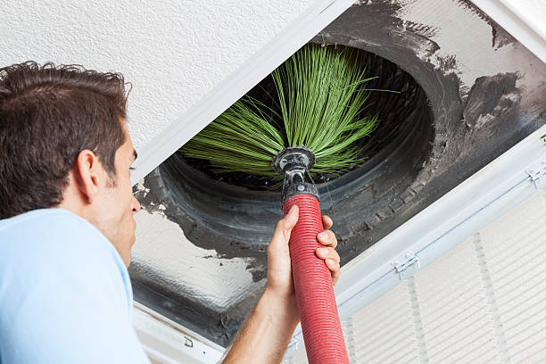 Air Duct Mold Removal in East Grand Rapids, MI